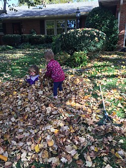 Racking leaves... well kind of!